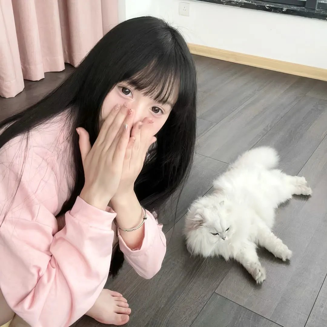 代号九耳犬
